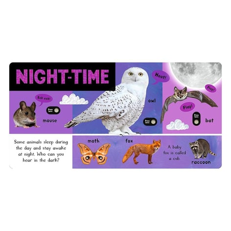 Noisy Animal World Eğitici Kitap