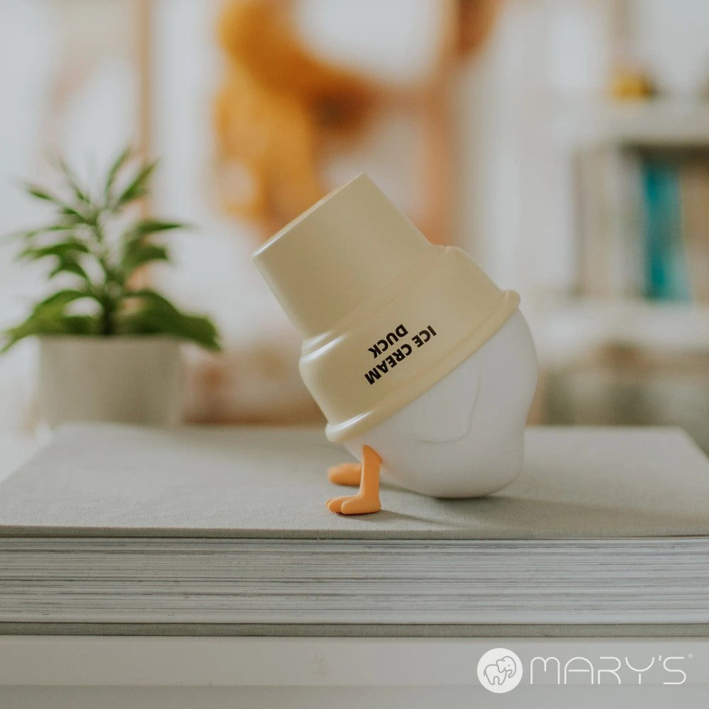 Mary's Ice Duck Led Gece Lambası