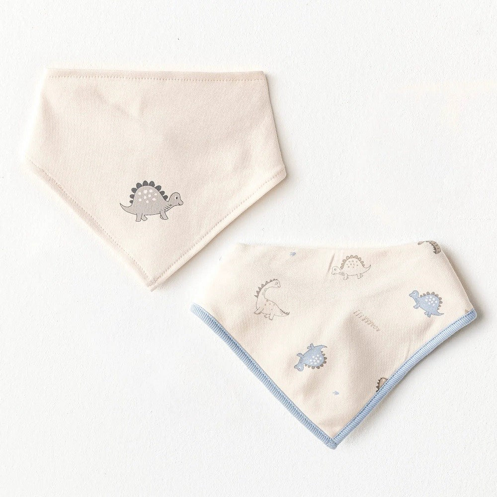 Andywawa Yazlık Erkek Bebek Fular Önlük 2'li- Dino Mavi