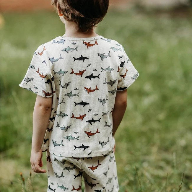 Antebies Erkek  Çocuk Kısa Kollu Organik Pijama Takımı- Köpekbalığı Ekru