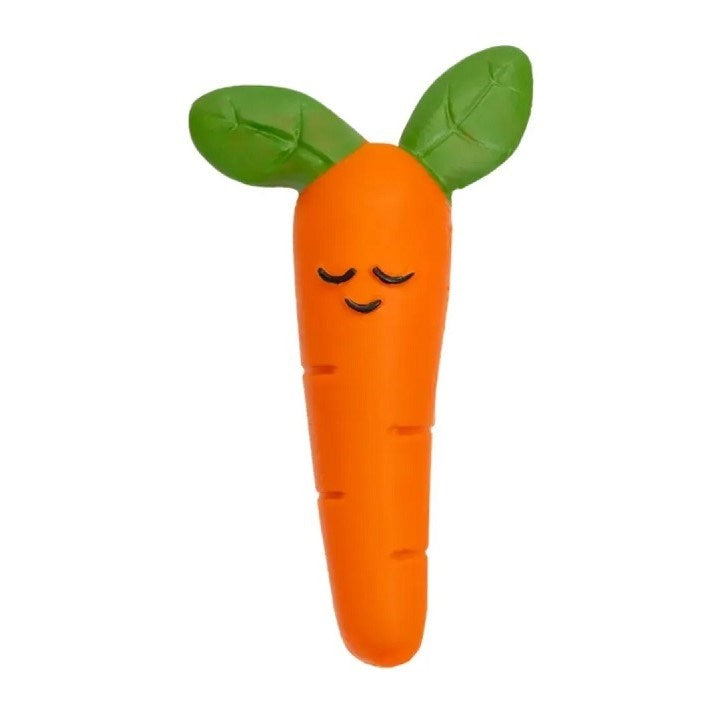 Hubble Diş Kaşıyıcı Oyuncak Havuç