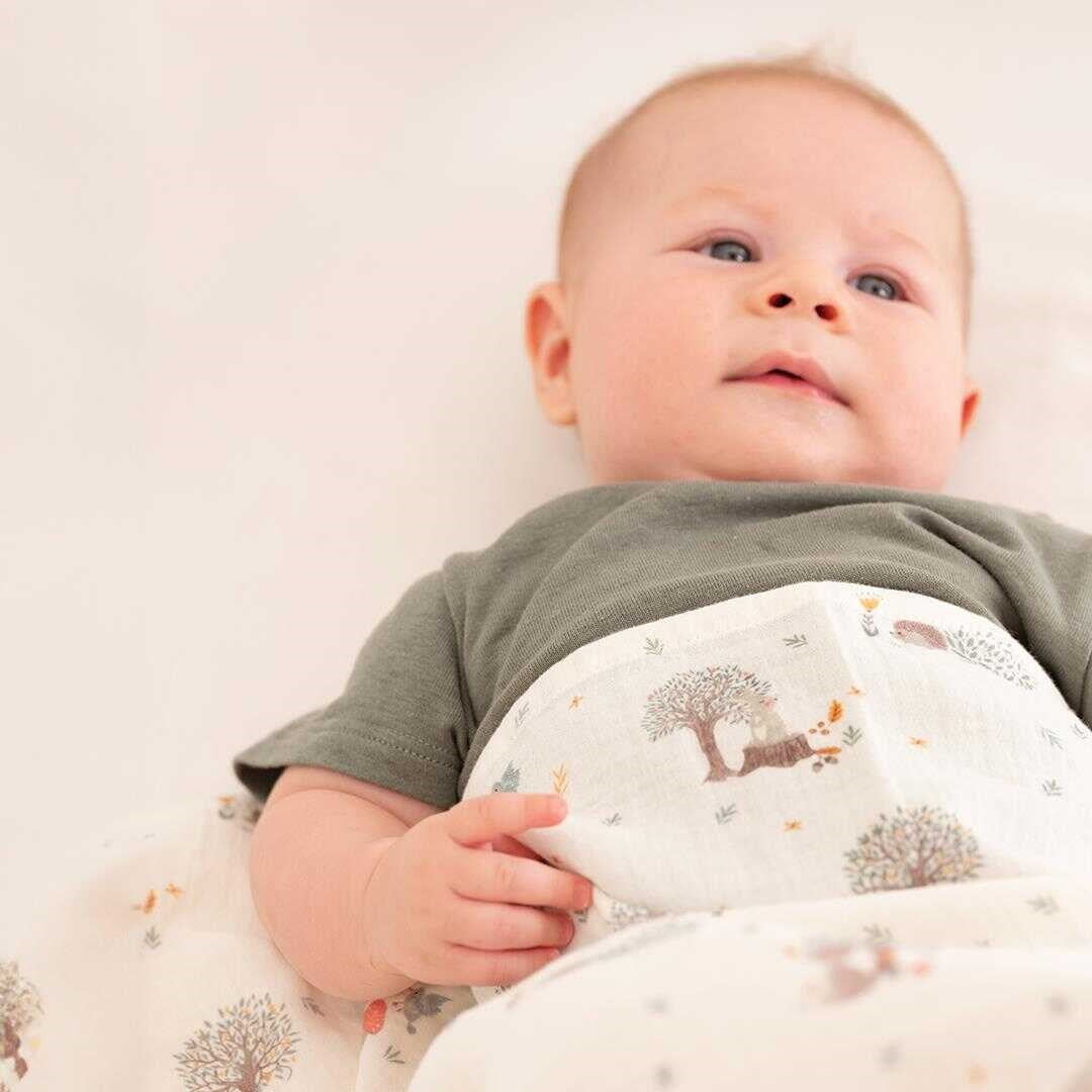 Owli LoveLayers 2 Kat Müslin Battaniye Set 70x70 cm STD