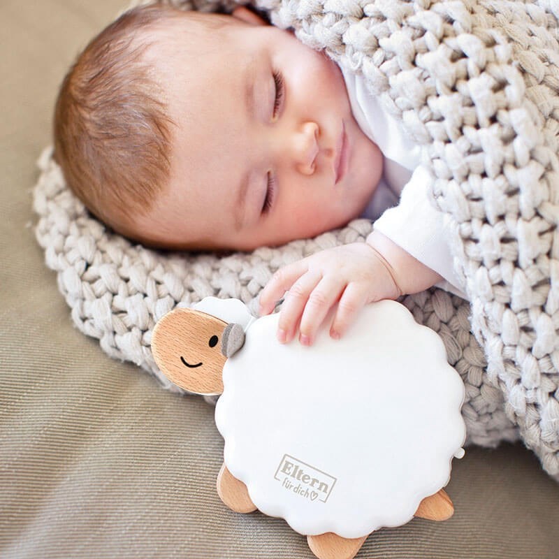 Hape Sleepy Sheepy Müzikli Uyku Arkadaşı 