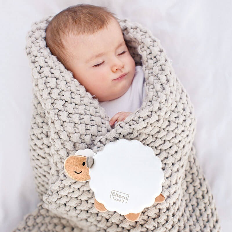 Hape Sleepy Sheepy Müzikli Uyku Arkadaşı 