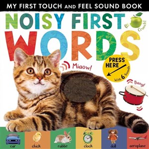 My First Touch and Feel Sound Book:Noisy First Word (New Edition) Eğitici Kitap