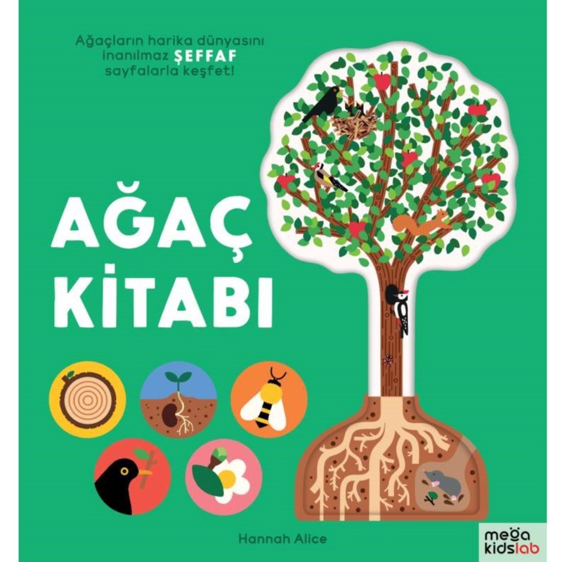 Ağaç Kitabı Eğitici Kitap 