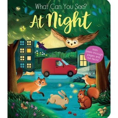 What Can You See At Night? Eğitici Kitap 