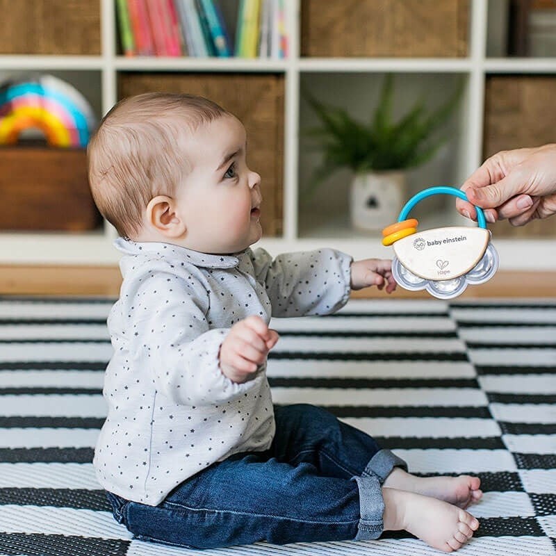 Hape Baby Einstein Tiny Tambourine Oyuncak Ahşap Tef 