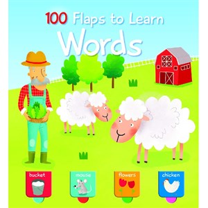 100 Flaps to Learn: Words