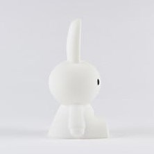 Mr. Maria Mini Miffy Lamba 