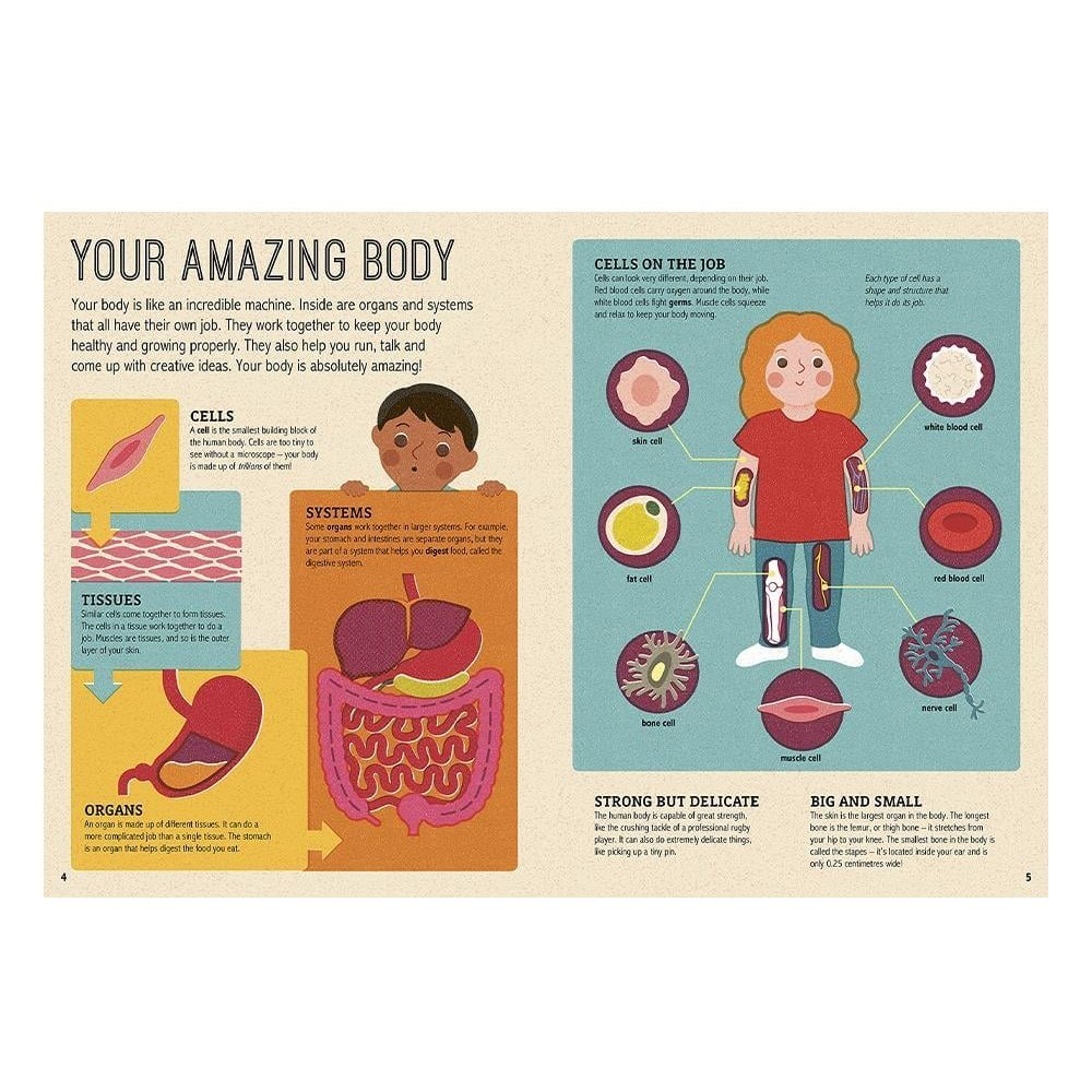 Magic Magnifying Glass - My Amazing Body 