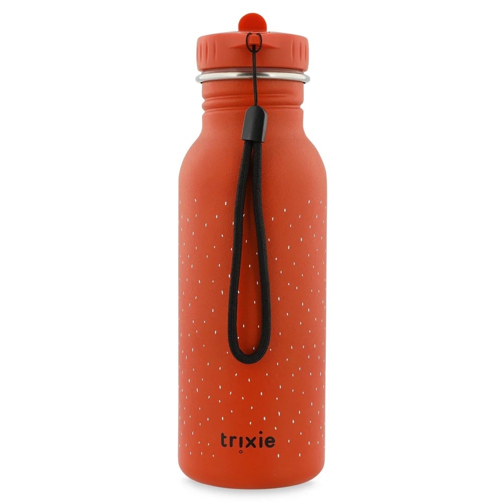 Trıxie Çocuk Çelik Su Şişesi 500 ml Mr Parrot 