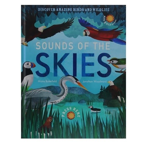 Sounds Of The Skies 