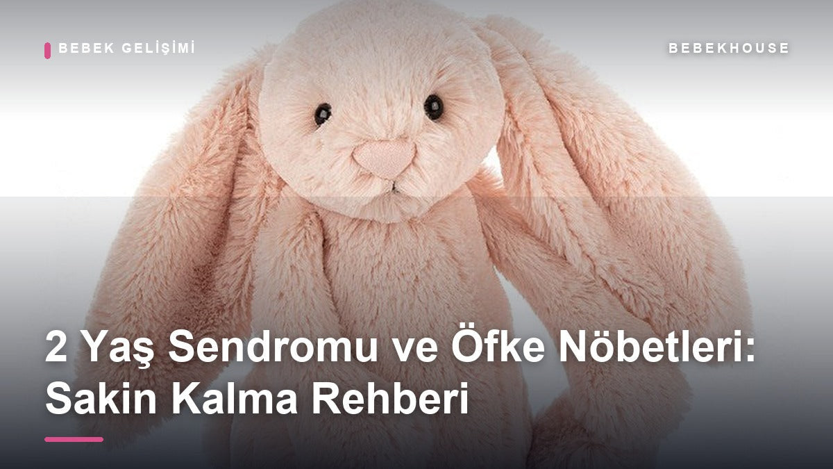 2 Yaş Sendromu ve Öfke Nöbetleri: Sakin Kalma ve Doğru Yaklaşım Rehberi