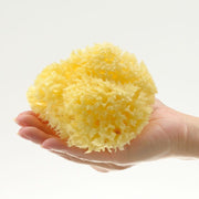 Bellini Sponge %100 Doğal Bebek Banyo Süngeri Boyut:10 STD