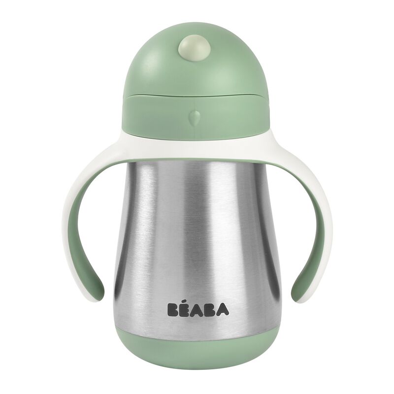 Beaba 250 Ml Çelik Pipetli Suluk Sage Green
