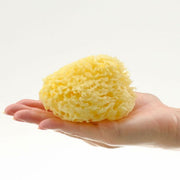 Bellini Sponge %100 Doğal Bebek Banyo Süngeri Boyut:14 STD