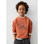 Mayoral Kışlık Erkek Uzun Kol Sweatshirt Kahverengi