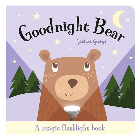 Goodnight Bear - A Magic Torch Book