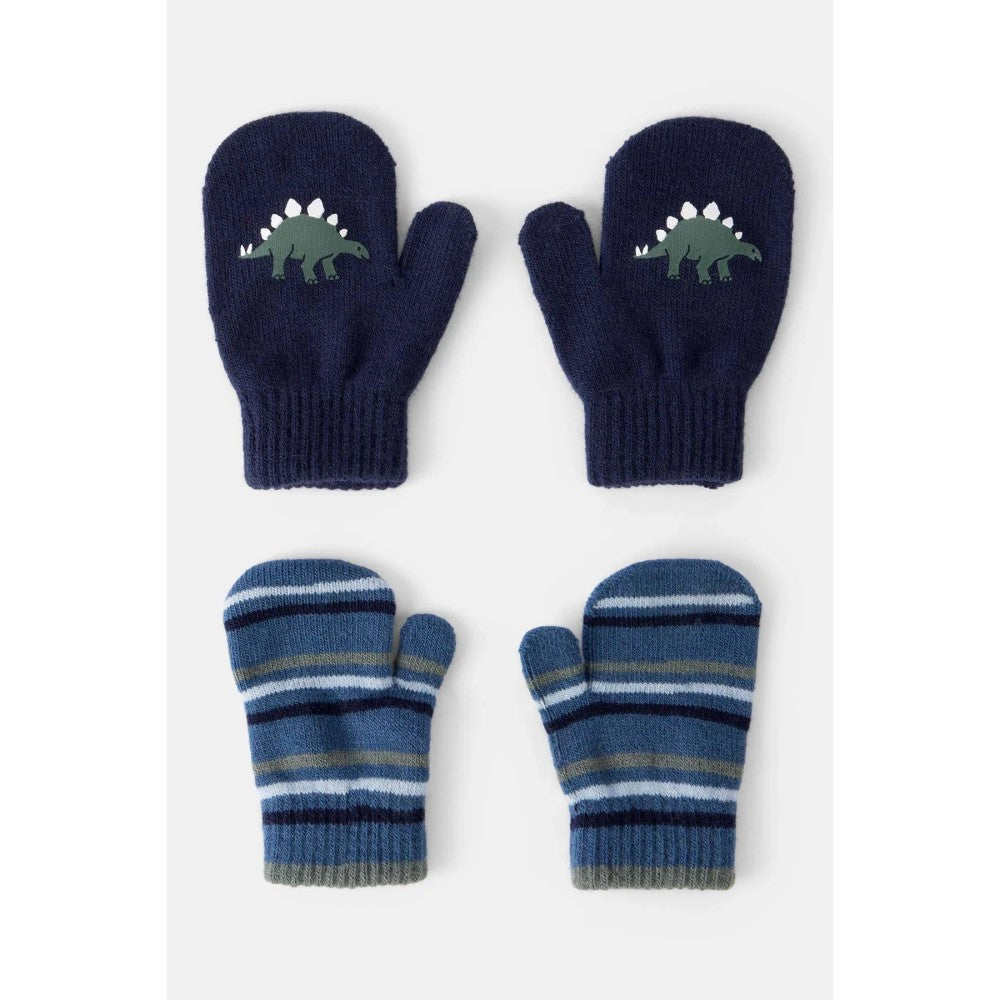 Carter's Erkek Çocuk Desenli 2'li Eldiven Lacivert