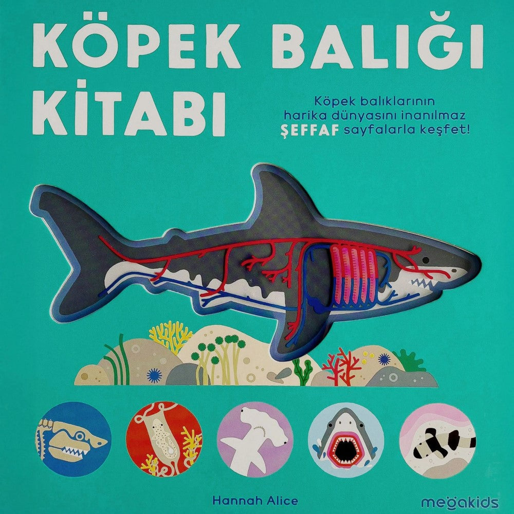 Köpek Balığı Kitabı