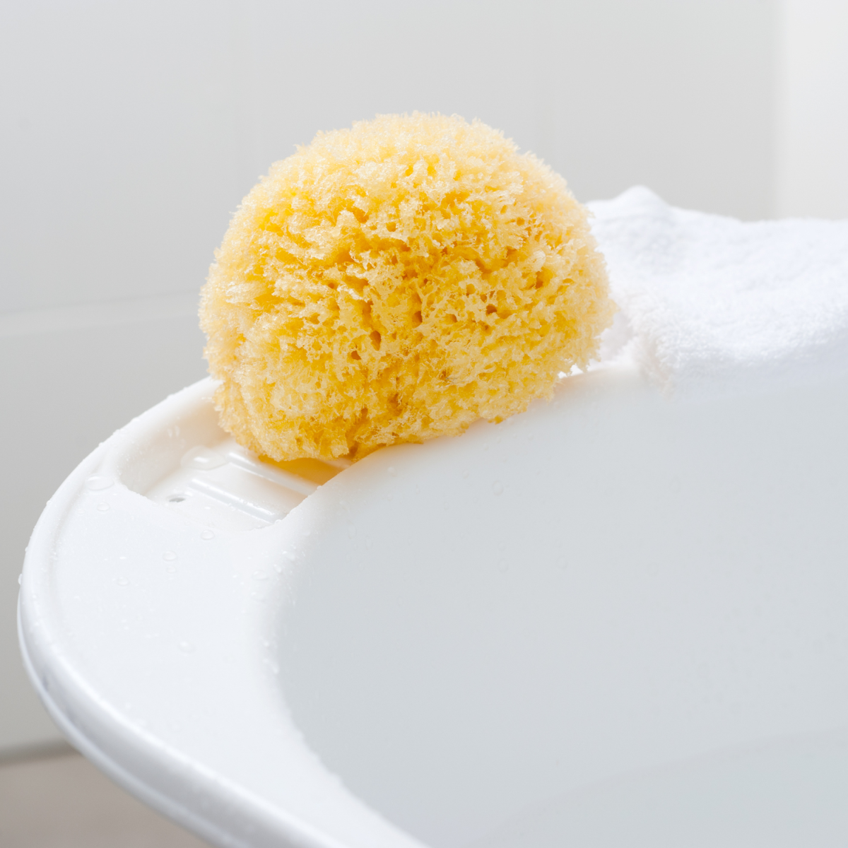 Bellini Sponge %100 Doğal Bebek Banyo Süngeri Boyut:12 STD