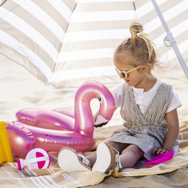 Swim Essentials Dreamscape Pink Flamingo Splitring Yüzme Simidi 55 cm