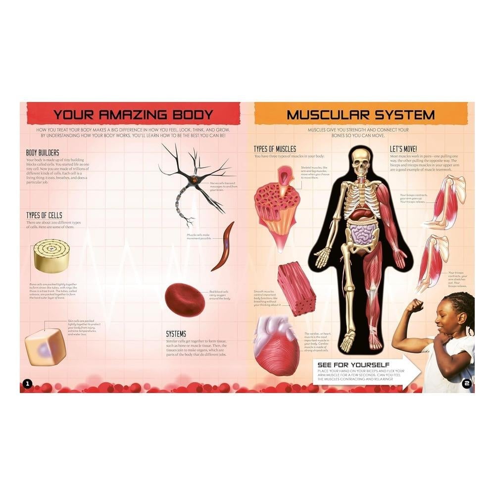 Chartwell Books Inside Out Human Body
