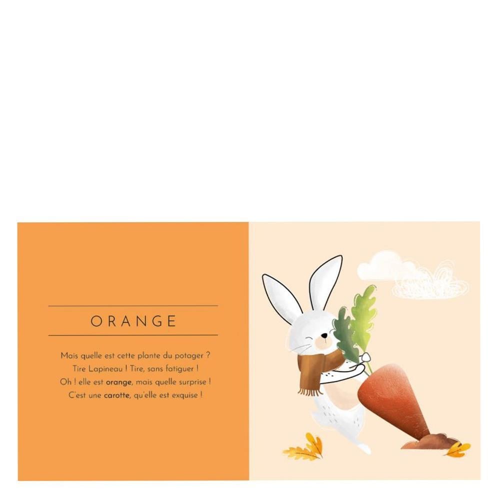 Dokun Ve Hisset - Renkler