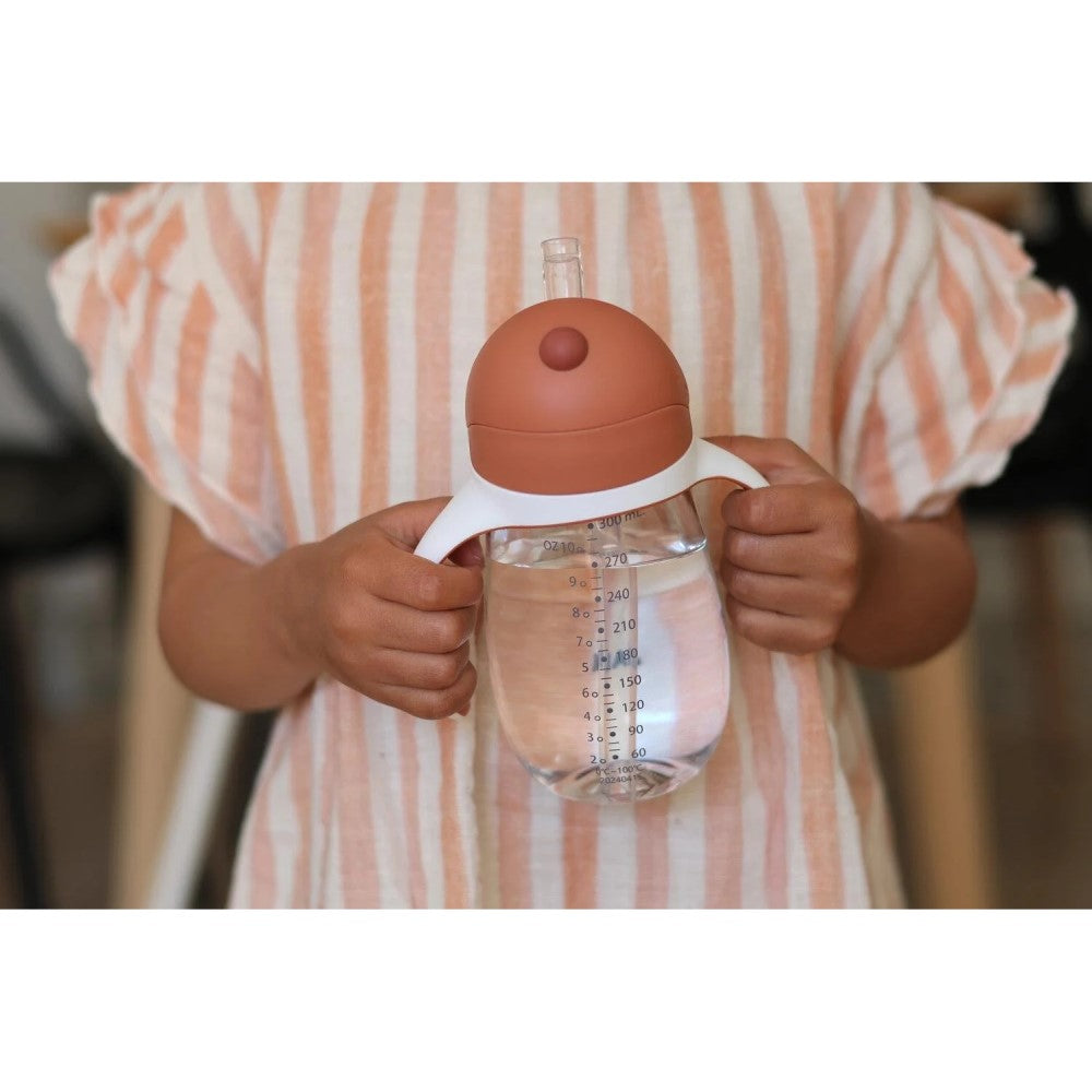 Beaba 300 Ml Şeffaf Pipetli Suluk, Terracotta - Görsel 3