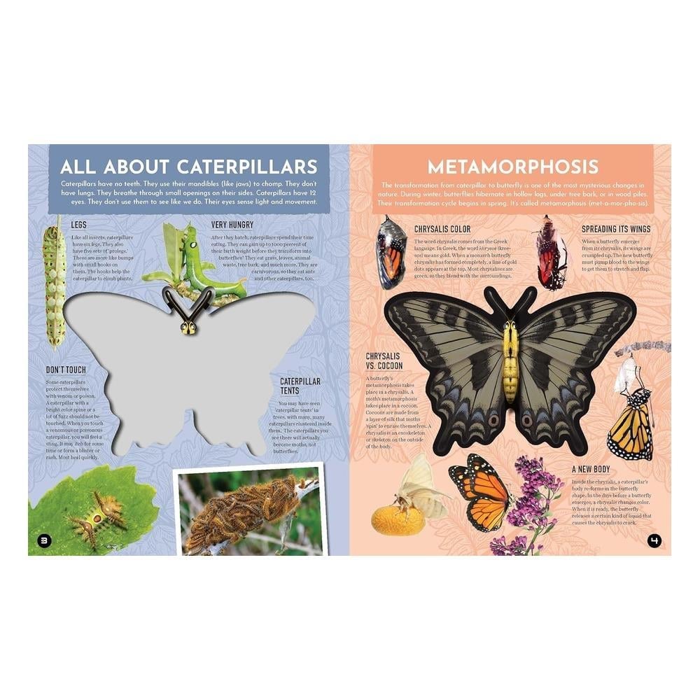 Chartwell Books Inside Out Butterfly