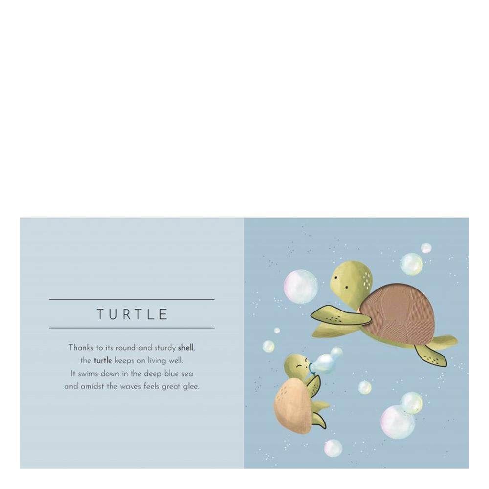 Dokun Ve Hisset - Hayvanlar