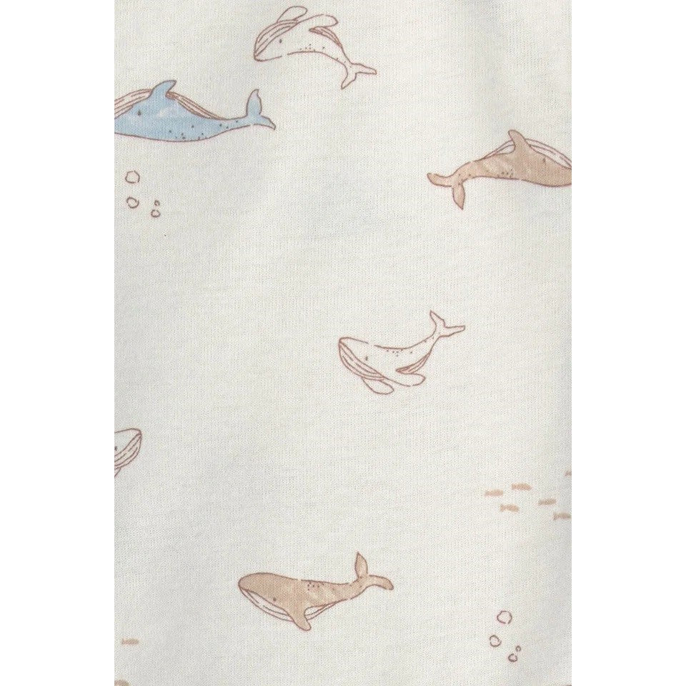 Carter's Erkek Bebek 3'lü Set Ekru