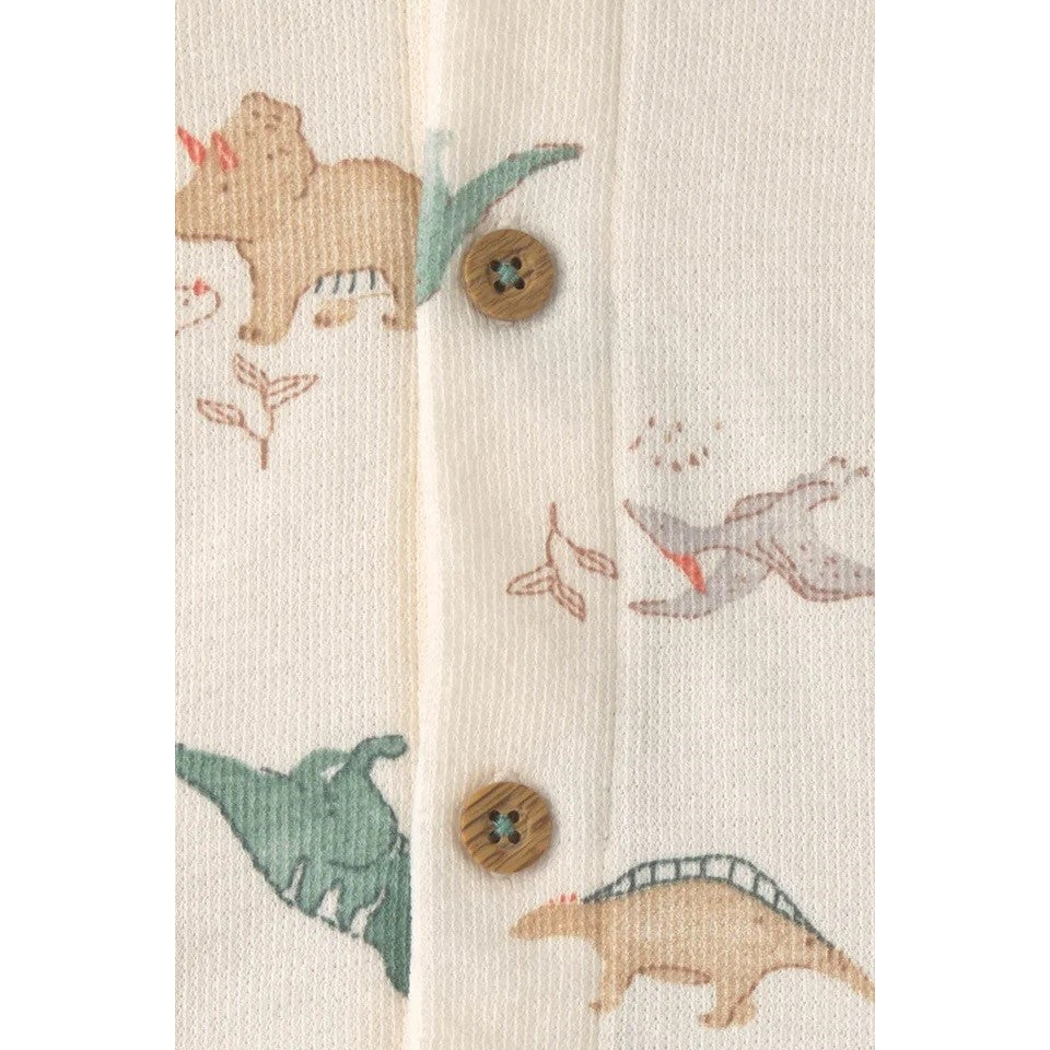 Carter's Erkek Bebek Hırkalı 3'lü Set Yeşil