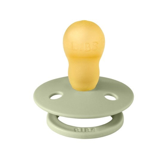 Bibs Studio Colour Ladybug Emzik Sage 18+ Ay Yeşil
