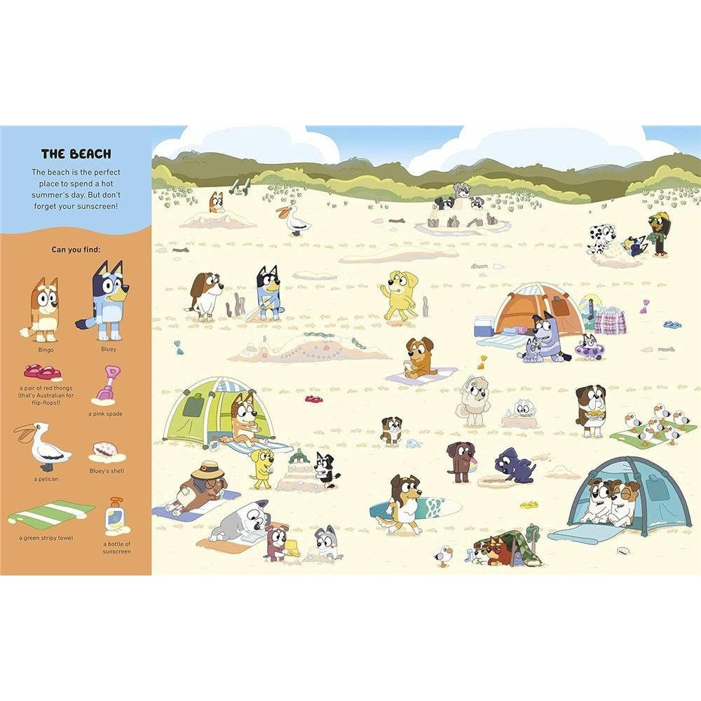 Bluey - Wheres Bluey - Paperback