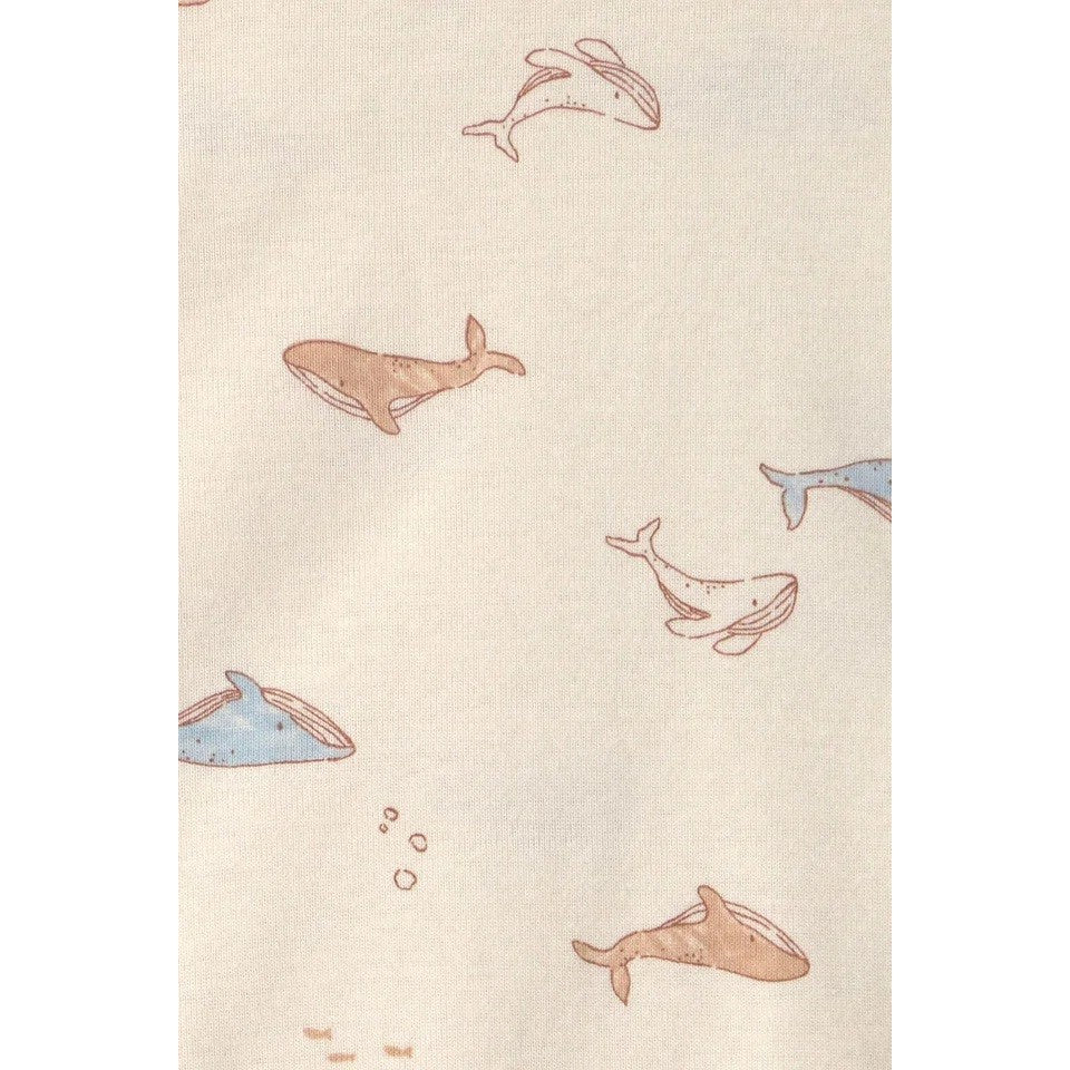 Carter's Kışlık Layette Erkek Bebek Body Takım 3'lü Set Mavi