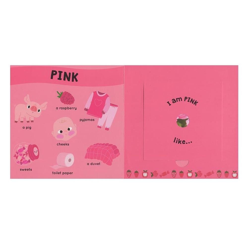 Follow Your Nose - Colours and Scents Garden