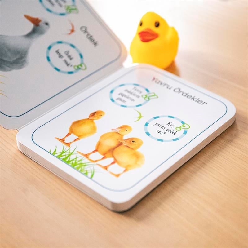 Hayvanlar 12-18 Ay İlk Adımlar