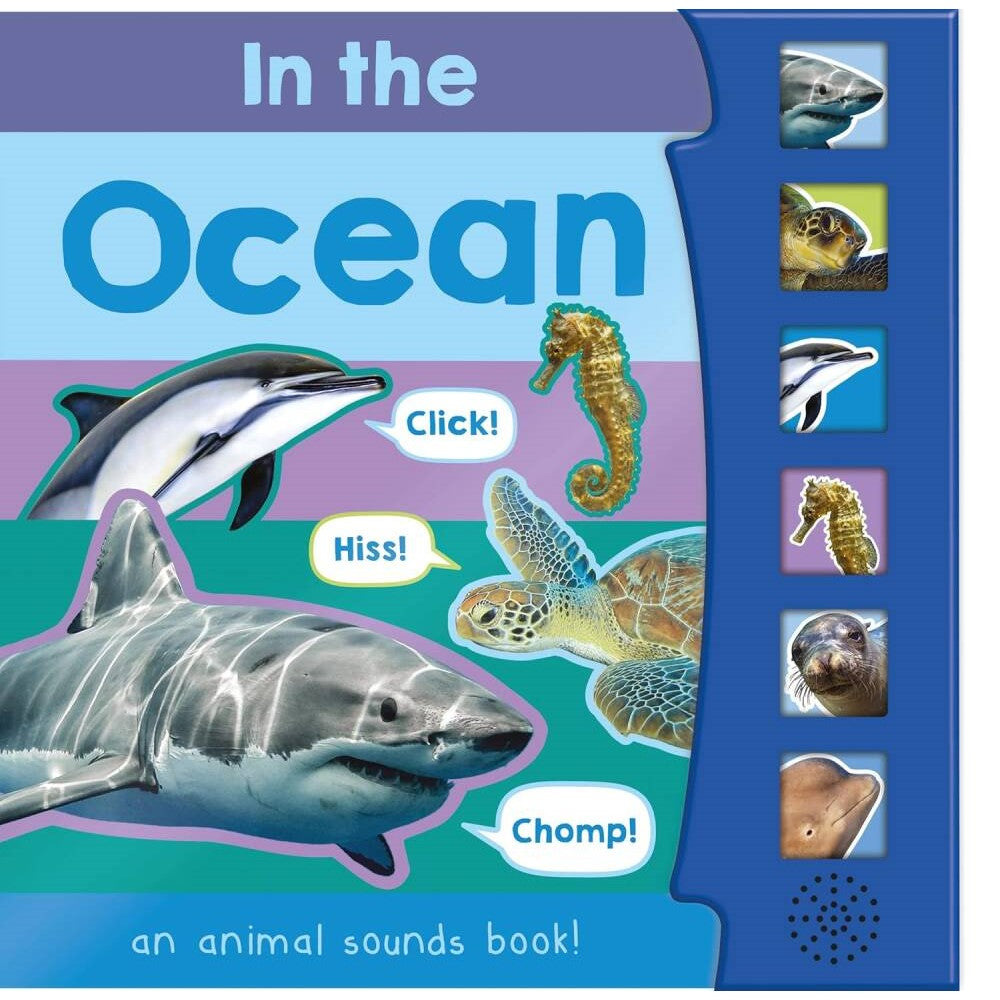 In The Ocean (6 Button Sound Book)