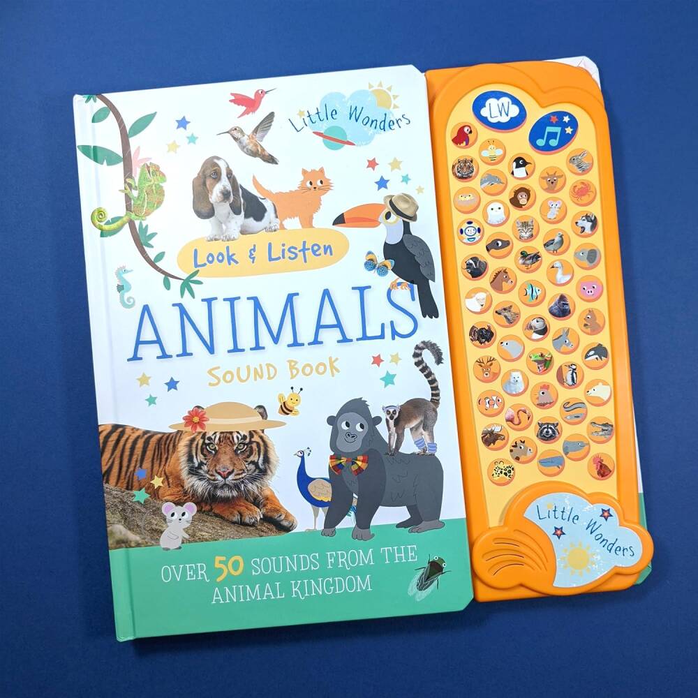 Look & Find Sound Book: Animals