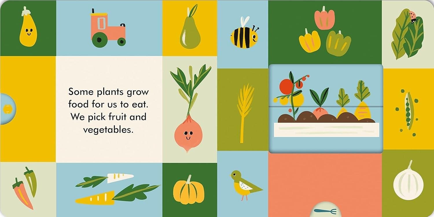 Magic Windows - Growing