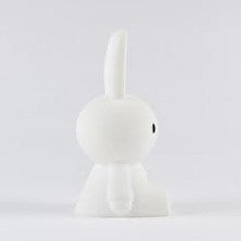 Mr. Maria Mini Miffy Lamba