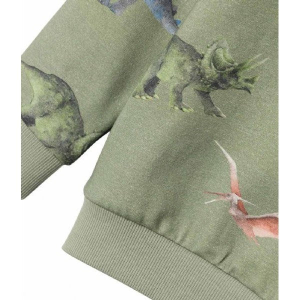 Name It Kışlık Erkek Çocuk Organik Sweat-shirt Dinozor Haki