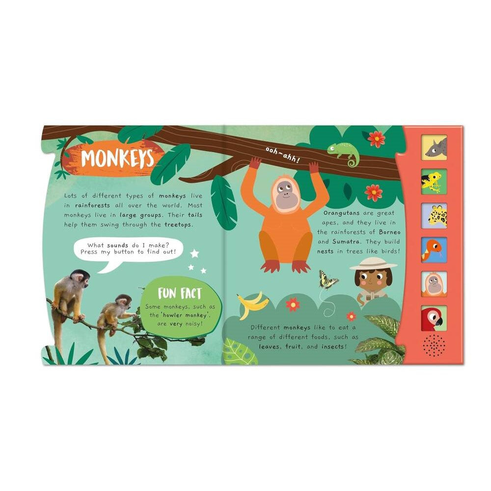 Noisy Rainforest (Little Wonders Sound Book)