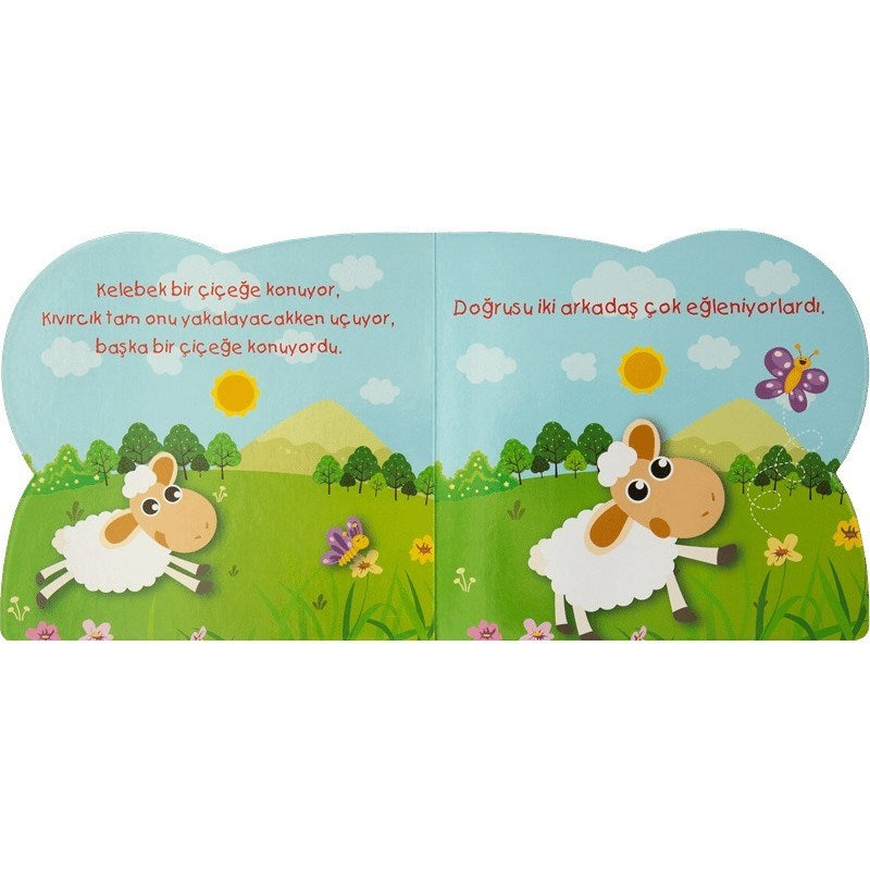 Sevimli Kuzu Kıvırcık