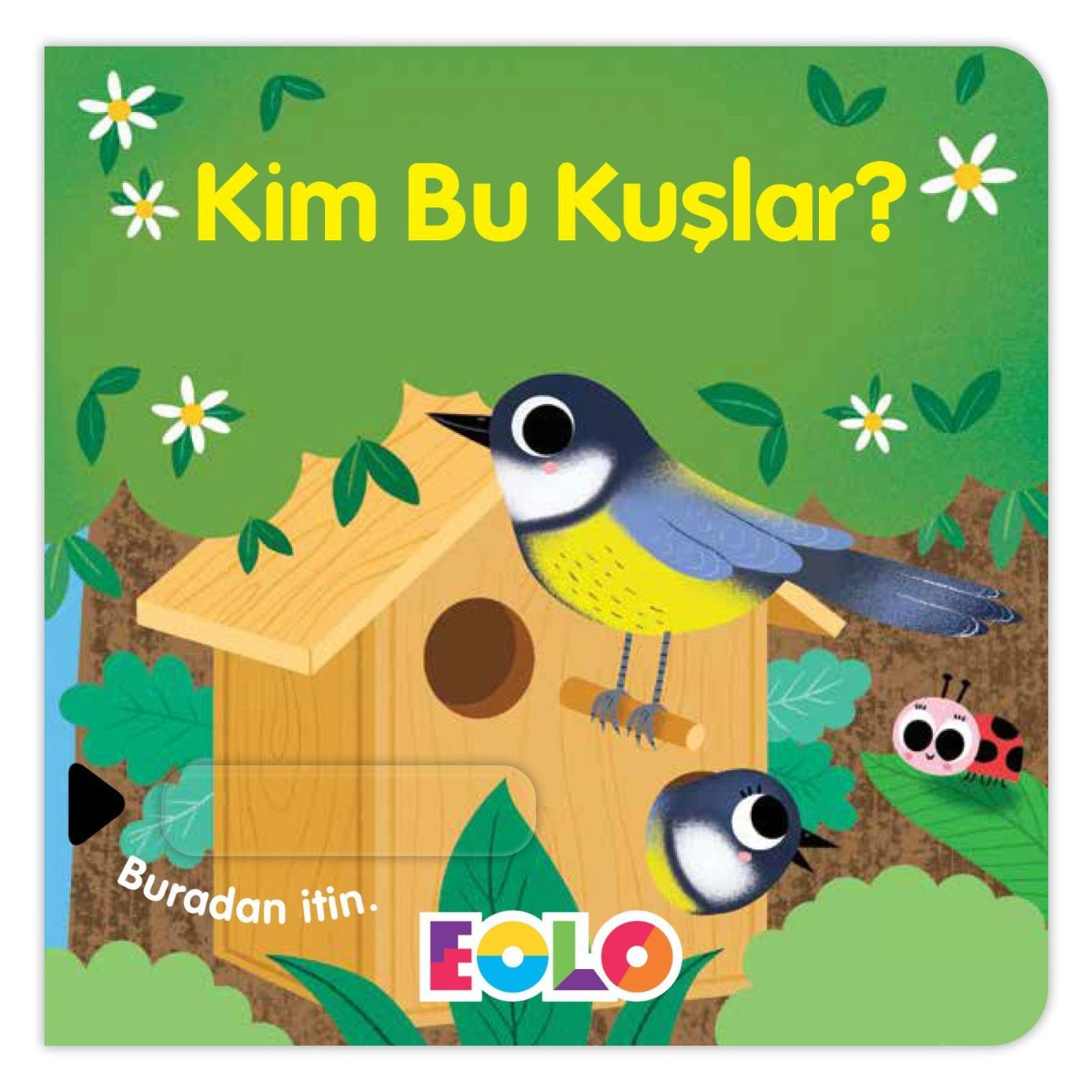 Eolo Sürgülü Kitap - Kim Bu Kuşlar?