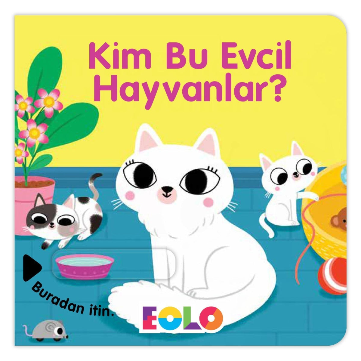 Eolo Sürgülü Kitap - Kim Bu Evcil Hayvanlar?