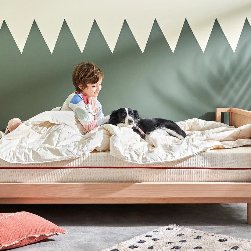 SuiSleep Yün Dolgulu Cosy Jr. Yorgan 155x215