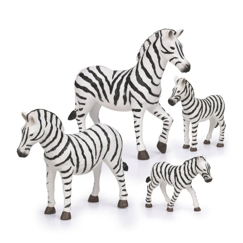Terra Zebra Ailesi